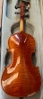 Hidersine Piacenza Violin 4/4 Outfit.-B stock-CL2760