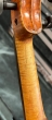 Hidersine Venezia Violin 4/4 - B-Stock - CL2172