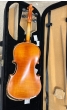 Hidersine Vivente Violin 4/4 - B-Stock - CL2390