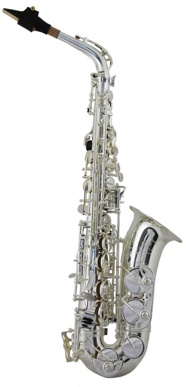 Trevor James SR Alto Sax Outfit - Silver Plated