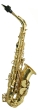 Trevor James SR Alto Sax Outfit - Bronze. Gold Lacquer Keys