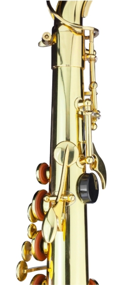 Trevor James Alphasax Alto Saxophone Outfit - Gold Lacquer | Barnes ...