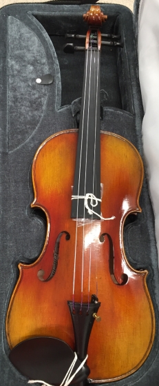 Hidersine Venezia Violin 4/4 - B-Stock - CL1565