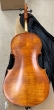 Hidersine Vivente 4/4 Cello Outfit - B-Stock - CL2613