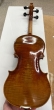 Hidersine Reserve Pianura Violin 302 - B-Stock - CL2634