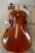 Hidersine Reserve Pianura Cello 302 26 02 - B-Stock - CL2637