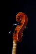 J.T.L Cello 4/4 Violoncelles de Maître - Stradivarius