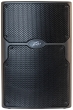 Peavey PVXp BT Bluetooth 12" Powered Loudspeaker