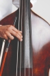 Thomastik-Infeld Peter Infeld Double Bass Strings E - 3/4