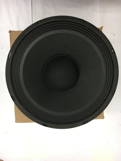 Speaker Max 110