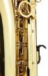 Trevor James Alphasax Alto Saxophone Outfit - Gold Lacquer