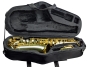 Trevor James Alphasax Alto Saxophone Outfit - Gold Lacquer