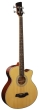 Brunswick Acoustic Bass Natural