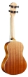 Barnes & Mullins Concert Ukulele - Spruce