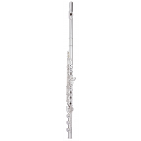 Trevor James Chanson Flute Outfit - B Foot, CT Trad Lip.