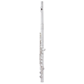 Trevor James Virtuoso Flute Outfit - Straight Head. CS Shaped Lip