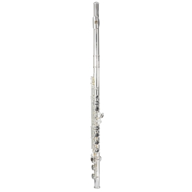 Trevor James Virtuoso Flute Outfit - Voce Head. Split E