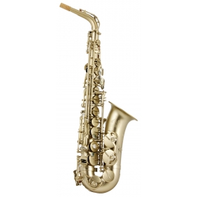 Trevor James 88 Alto Sax Outfit - Gold Frosted