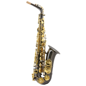 Trevor James SR Alto Sax Outfit - Black. Gold Lacquer Keys