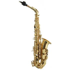 Trevor James SR Alto Sax Outfit - Gold Lacquer