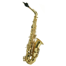 Trevor James SR Alto Sax Outfit - Bronze. Gold Lacquer Keys