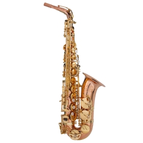 Trevor James Signature Custom Alto Saxophone - Phosophor Bronze Body 