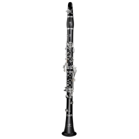 Trevor James Series 8 Bb Clarinet Outfit