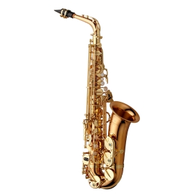 Yanagisawa Alto Sax - Bronze