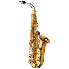 Yanagisawa Alto Sax - Solid Silver Body & Neck, Brass Bell & Bow