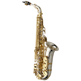 Yanagisawa Alto Sax - Solid Silver