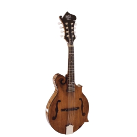 Barnes & Mullins Salvino F-Style Mandolin