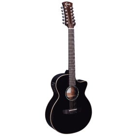 Faith Venus Eclipse 12 String