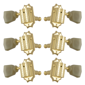 Grover Vintage 135 Series Gold Set 3+3 - Plastic Keystone Buttons