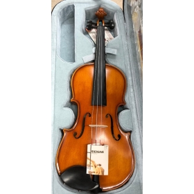 Hidersine Vivente Violin 4/4 Outfit - B-Stock - CL1746