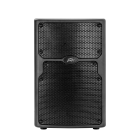 Peavey PVX 10 Non-Powered Speaker