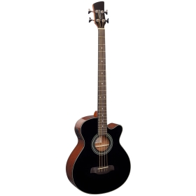 Brunswick Acoustic Bass Black