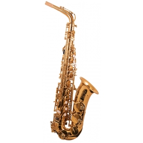 Trevor James 'The Horn' Alto Sax Outfit - Gold Lacquer