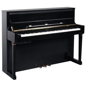 Medeli FORTE Series Digital Upright Piano. 88 Key. Black Gloss