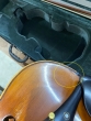 Hidersine Veracini Violin Outfit 4/4-B stock-CL2756