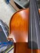 Hidersine Vivente Viola 15inch Outfit-B stock-CL2757