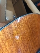 Brunswick Grand Auditorium Electro Mahogany-B stock-CL2715