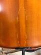 Hidersine Vivente 4/4 Cello Outfit - B-Stock - CL2176