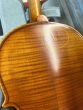 Hidersine Vivente Violin 4/4 Outfit - B-Stock - CL2238