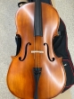 Hidersine Vivente 1/2 Cello Outfit - B-Stock - CL2259