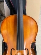 Hidersine Vivente 4/4 Cello Outfit - B-Stock - CL2262