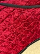 Shergold Gigbag - B-Stock-Sample - CL2293