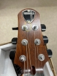 Shergold Masquerader Classic SM01 Thru-Cherry - B-Stock - CL2294