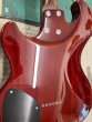 Shergold Masquerader Classic SM01 Thru-Cherry - B-Stock - CL2310