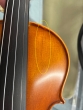 Hidersine Vivente Violin 4/4 Outfit - B-Stock - CL2315