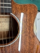 Rathbone No.1 - Mahogany Cutaway - Inc. Gigbag - B-Stock - CL2338